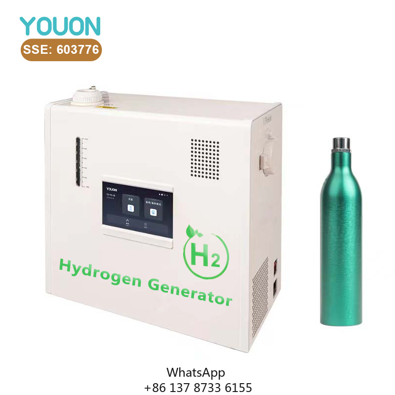 40L/h Hydrogen Generator Low-p - Renewable Energy Hydrogen 评论和价格