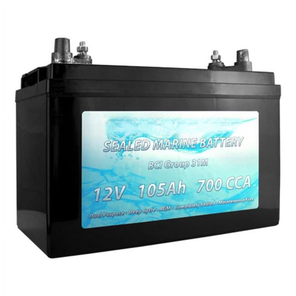 BCI Group 31M Dual Purpose Dee - Agm Deep Cycle Battery 评论和价格
